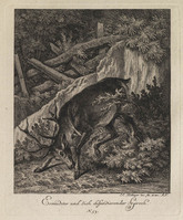 KG 01075
          <br/>
          Entwurf einiger Thiere. Dritter Theil. (18 bladen)
          <br/>
          <em>Ridinger, Johann Elias (1698-1767)</em>